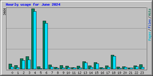 Hourly usage for June 2024