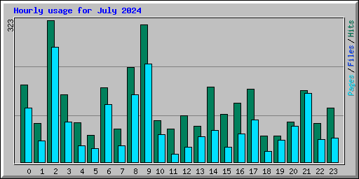 Hourly usage for July 2024