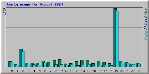 Hourly usage for August 2024